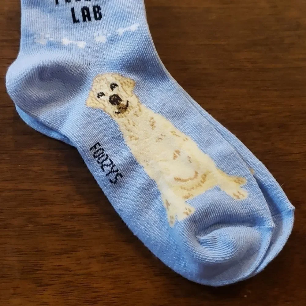 FOOZYS CANINE COLLECTION LIGHT BLUE SOCKS WITH YELLOW LABRADOR RETRIEVER